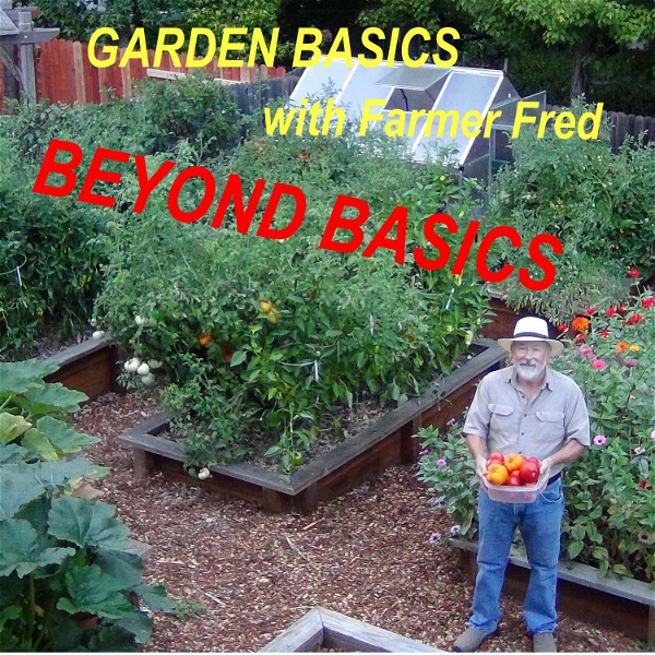 Artwork for Beyond the Garden Basics Podcast