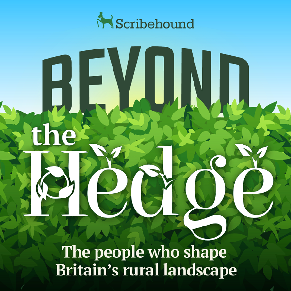 Artwork for Beyond the Hedge: The People and Stories that Shape the British Countryside