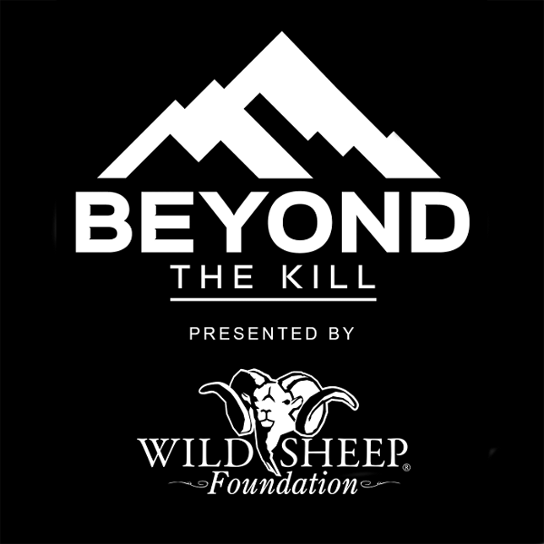 Artwork for Beyond the Kill