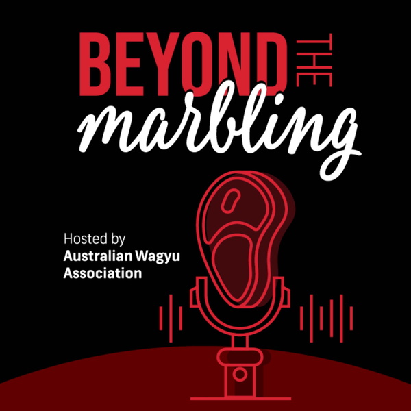 Artwork for Beyond the Marbling