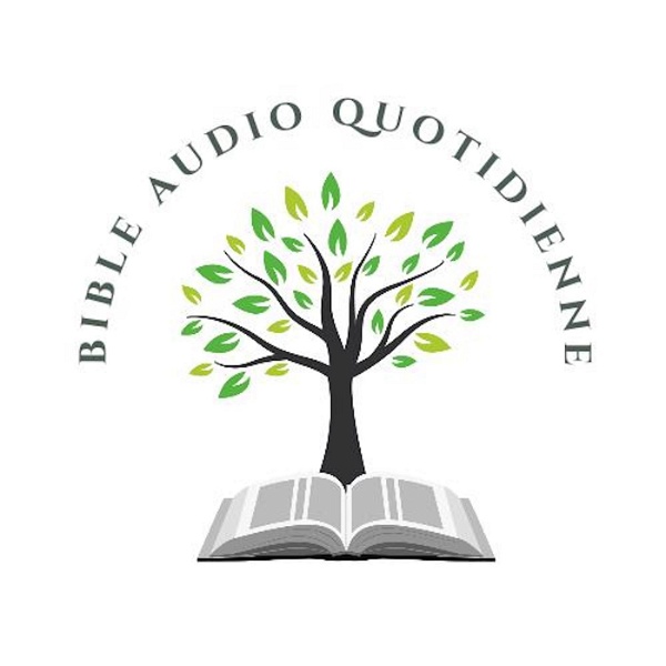 Artwork for Bible Audio Quotidienne