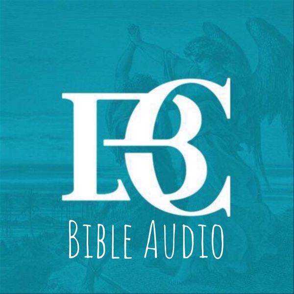Artwork for Bible Audio