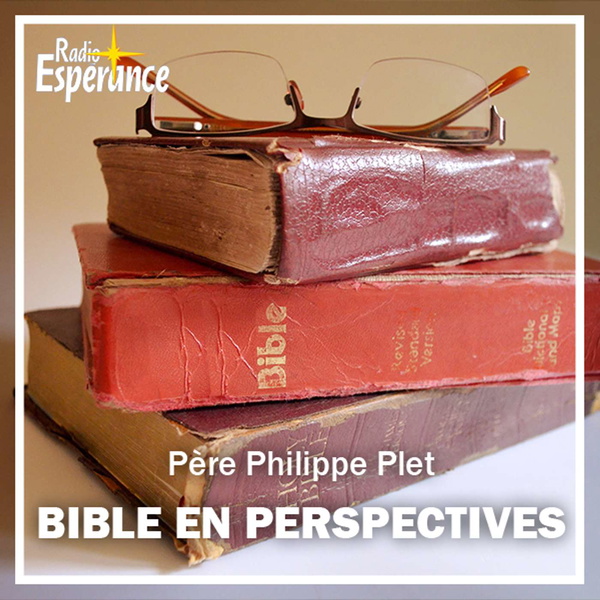 Artwork for Bible en perspectives