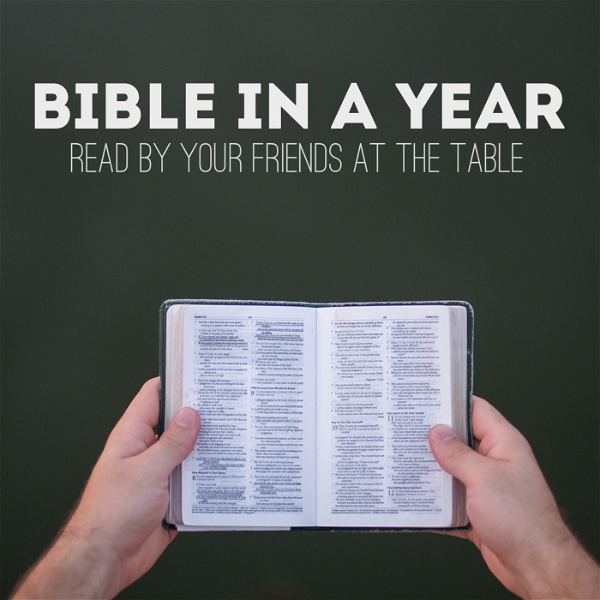 Artwork for Bible in a Year