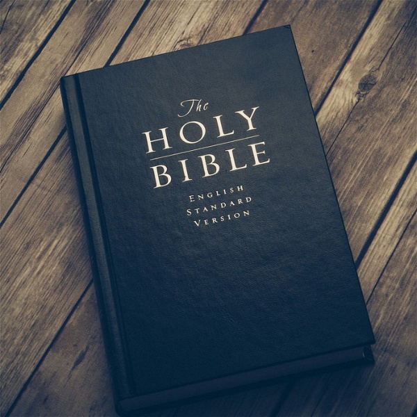Artwork for Bible Overview