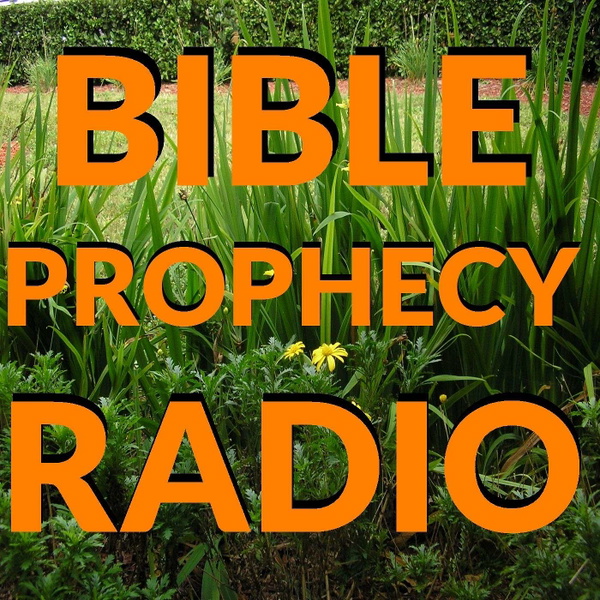 Artwork for BIBLE PROPHECY RADIO