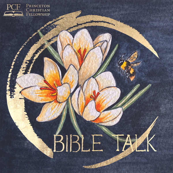 Artwork for Bible Talk: A PCF Podcast
