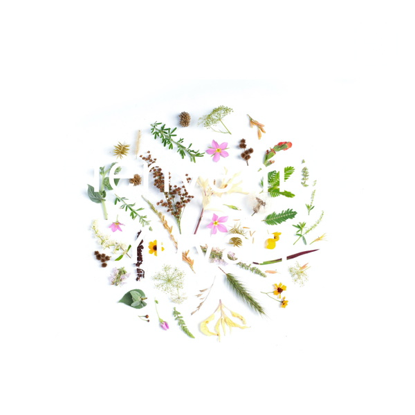 Artwork for Bienvenida Yuyari