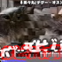 ビバボ~アラフォー2人の雑談バラエティ~