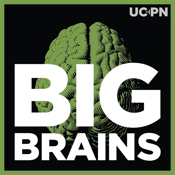 Artwork for Big Brains