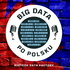 Big Data Po Polsku