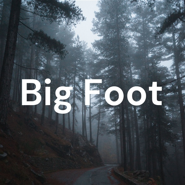 Artwork for Big Foot