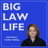 Big Law Life