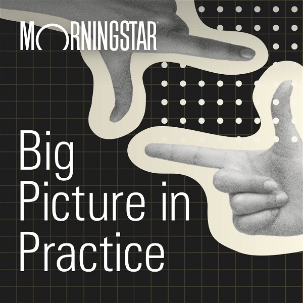 Artwork for Big Picture In Practice