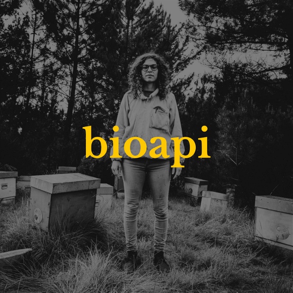 Artwork for Bioapi: apicoltura biologica e rigenerativa.