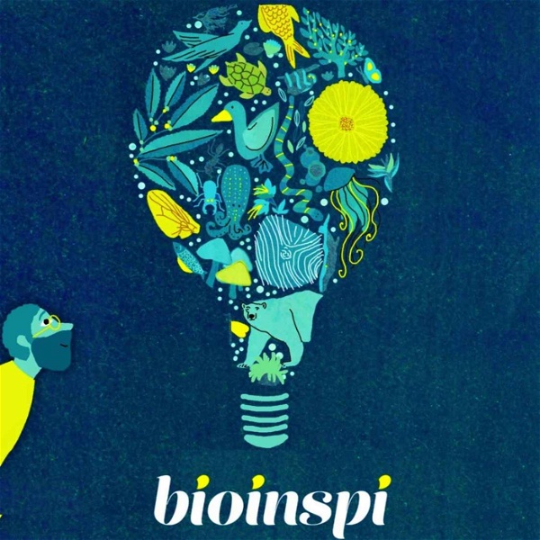 Artwork for Bioinspi
