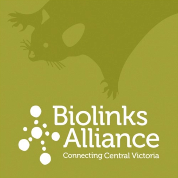 Artwork for Biolinks Alliance