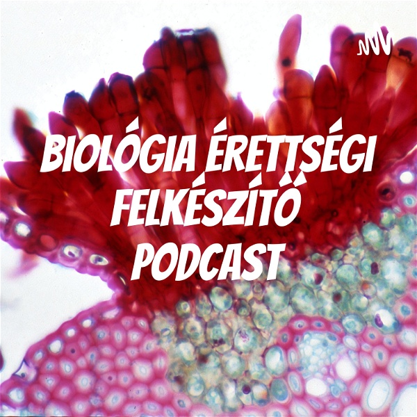 Artwork for Biológia érettségi felkészítő podcast