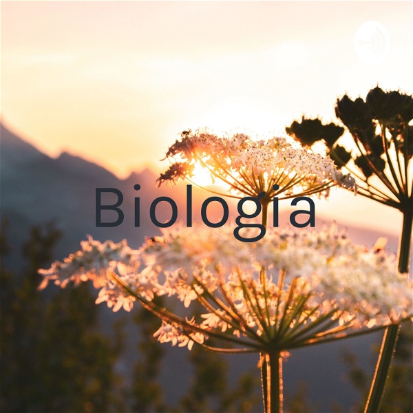Artwork for Biologia: Fungos