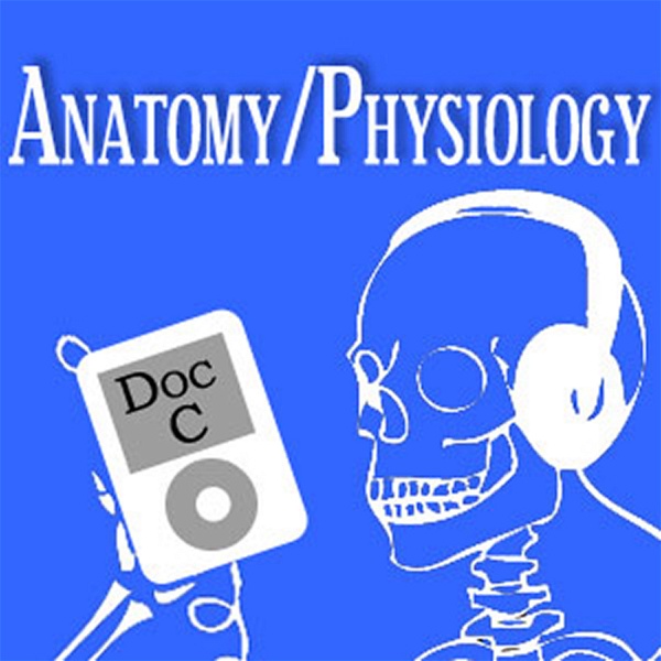 Artwork for Biology 2110-2120: Anatomy and Physiology with Doc C