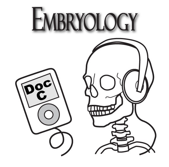 Artwork for Biology 3130 -- Embryology with Doc C