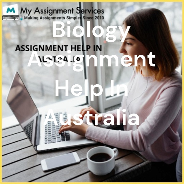Artwork for Assignment Help In Australia