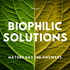 Biophilic Solutions: Nature Has the Answers