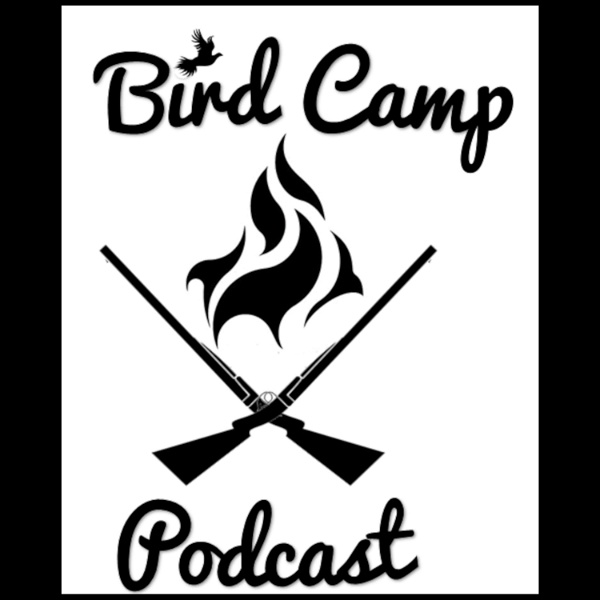 Artwork for Bird Camp