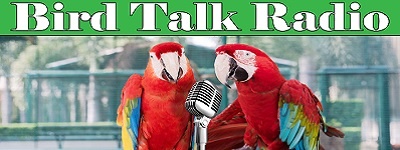 Artwork for Bird Talk Radio