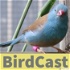 BirdCast