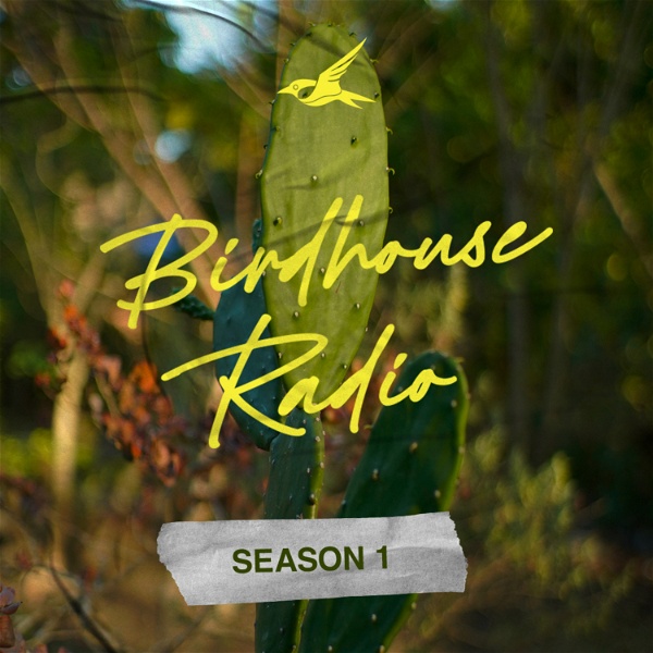 Artwork for birdhouse radio