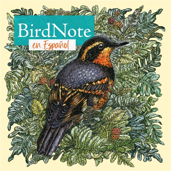 Artwork for BirdNote en Español