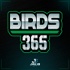 Birds 365: A Philadelphia Eagles Podcast