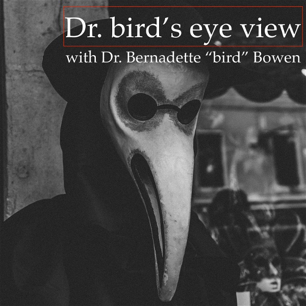 Artwork for Dr. bird's eye view