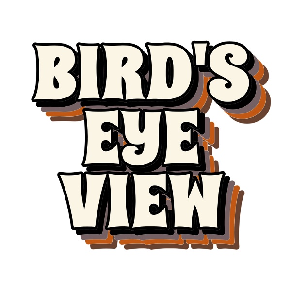 Artwork for Bird’s Eye View