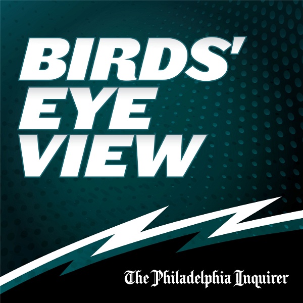 Artwork for Birds' Eye View: an Eagles podcast