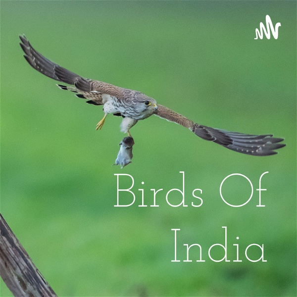 Artwork for Birds of India