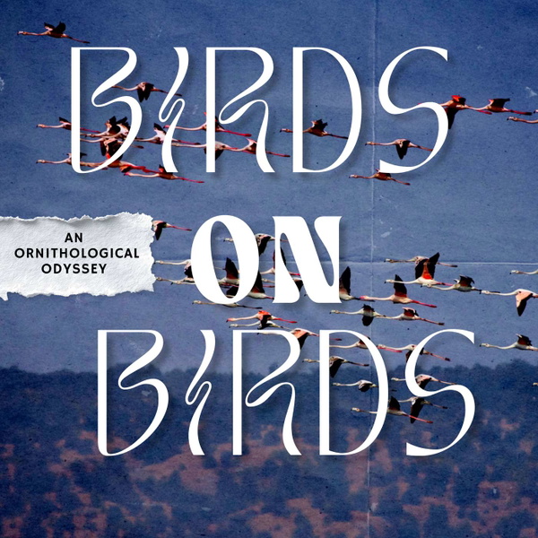 Artwork for Birds on Birds