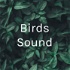 Birds Sound