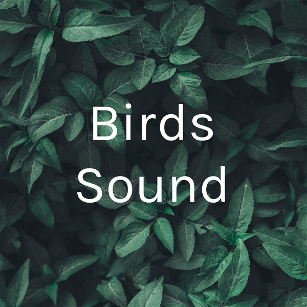 Artwork for Birds Sound
