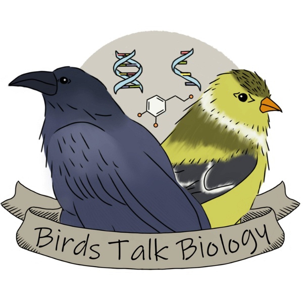 Artwork for Birds Talk Biology
