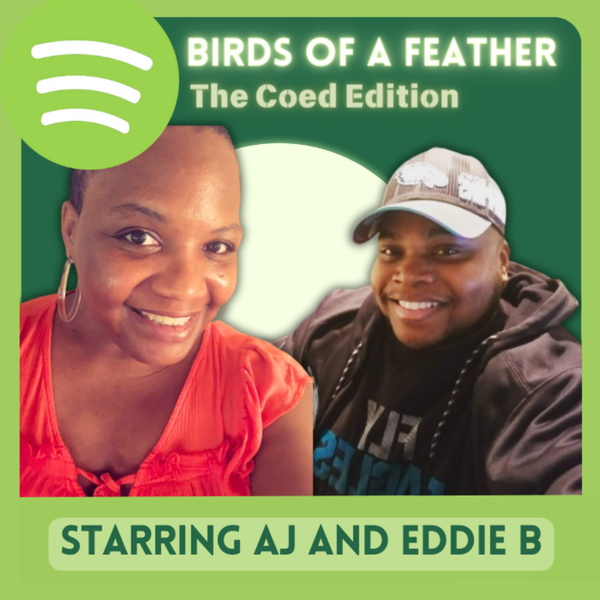Artwork for BIRDSOFAFEATHER