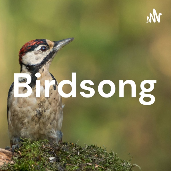 Artwork for Birdsong