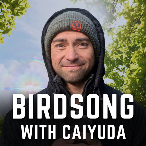 Artwork for Birdsong with Caiyuda