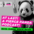 Birth. School. ROCK! Death. A Fierce Panda podcast