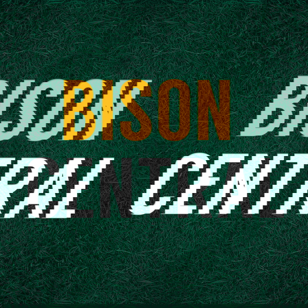 Artwork for Bison Central