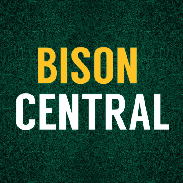 Artwork for Bison Central