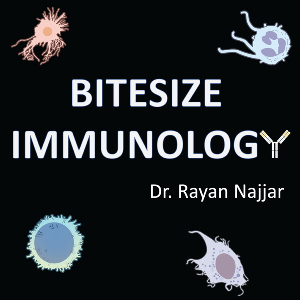 Artwork for Bitesize Immunology