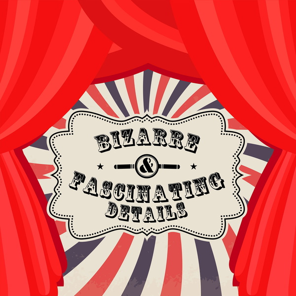 Artwork for Bizarre & Fascinating Details