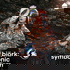 Björk: Sonic Symbolism